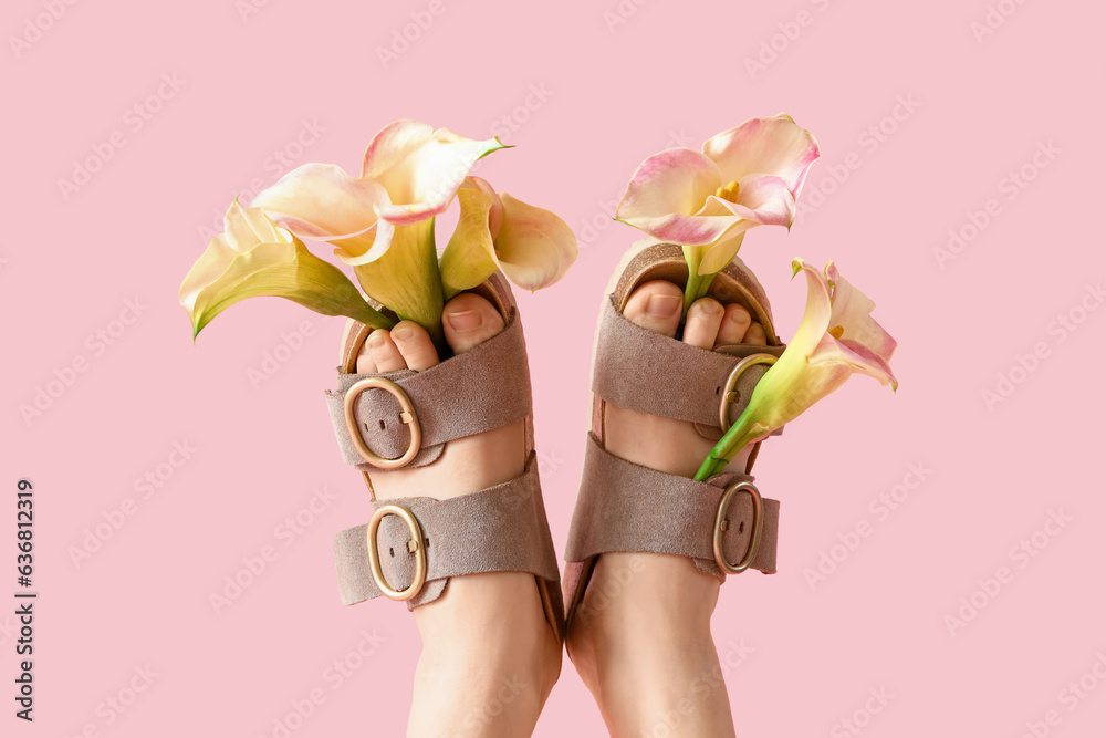 Female legs in stylish sandals with beautiful calla lily flowers on pink background