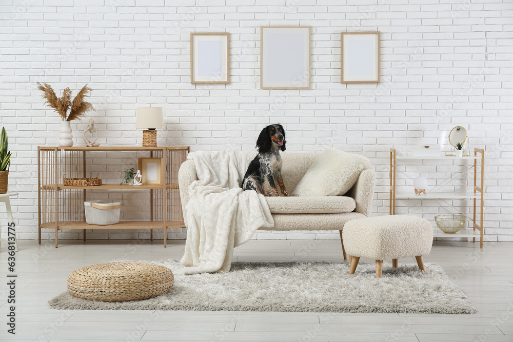 Cute cocker spaniel on white sofa in living room