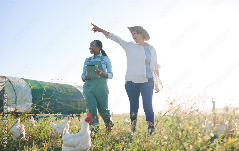 Chicken farm, woman pointing and outdoor with management and farmer pointing. Agriculture, sustainab