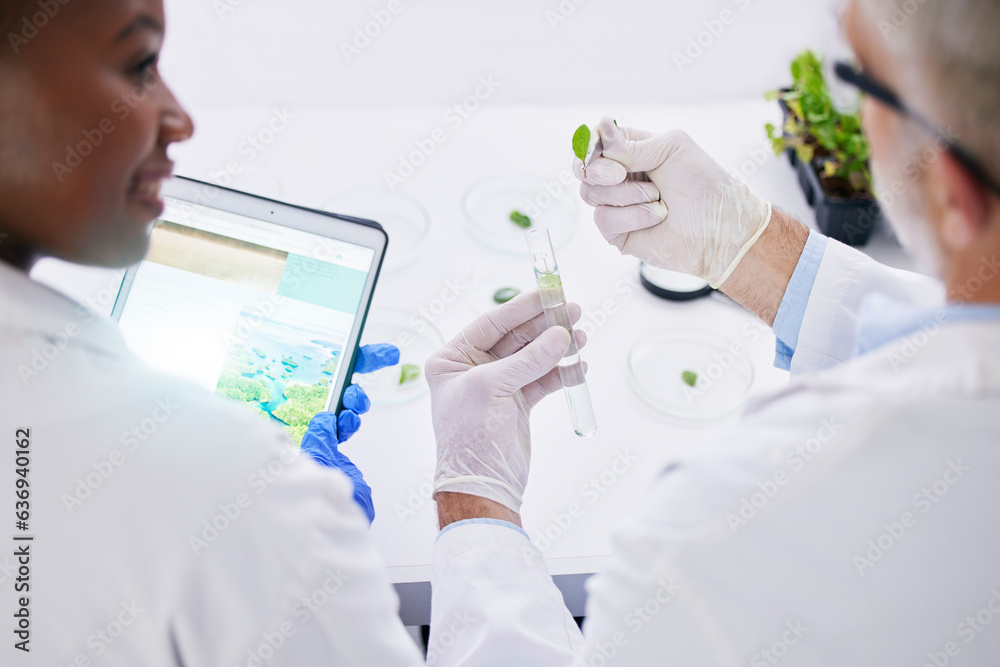 Scientist, science and hands, test tube and leaves, black woman and senior man with medical research