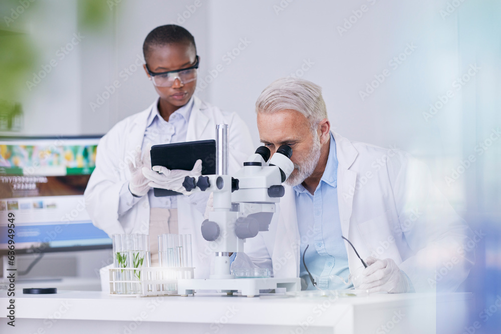 Science, black woman with tablet and man with microscope, biotech and research with plants for susta