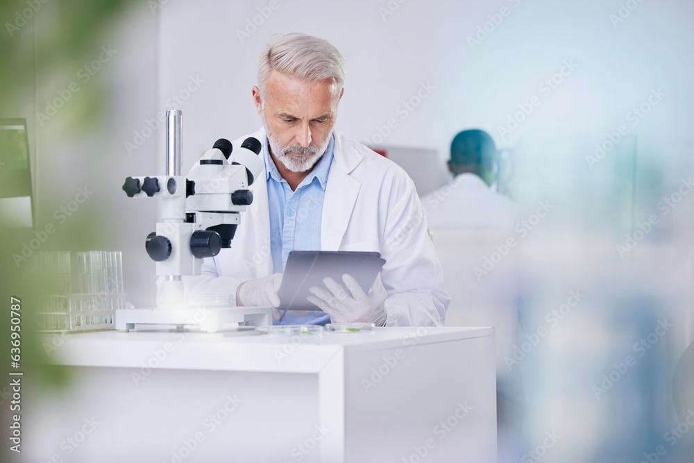 Biotech, laboratory and scientist with microscope, tablet and research with plants, botany or sustai