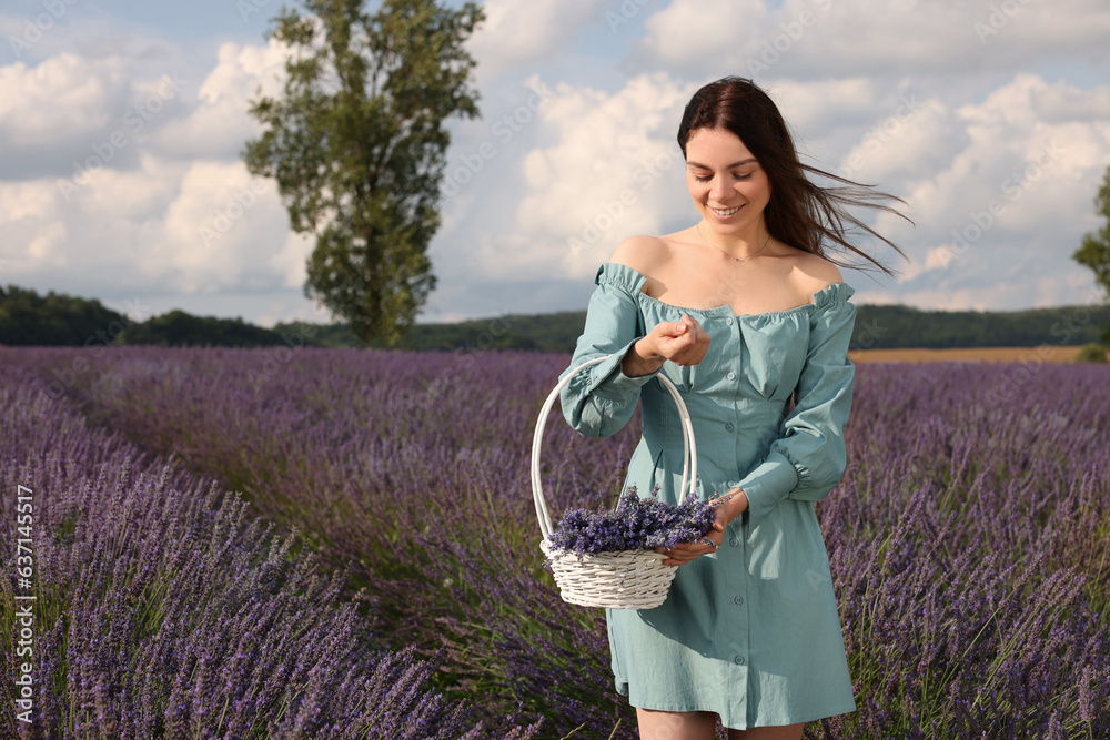 Smiling woman with basket in lavender field. Space for text