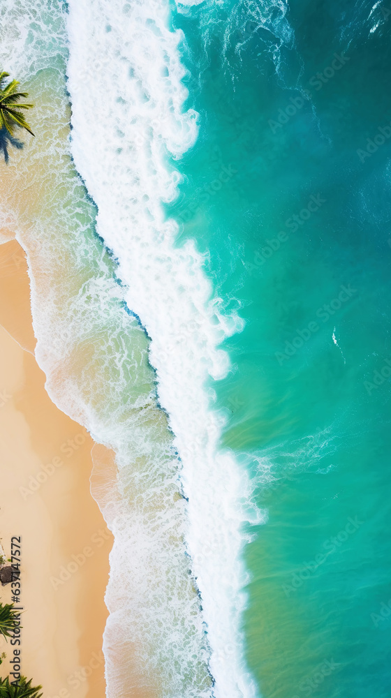 Aerial top view on sand ocean beach with palm trees. Summer vacation paradise concept. Vertical. Gen