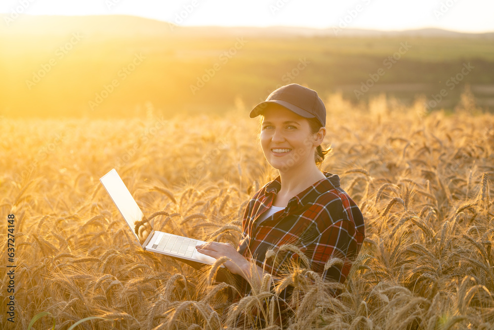 Woman farmer working with laptop on wheat field. Smart farming and digital agriculture..