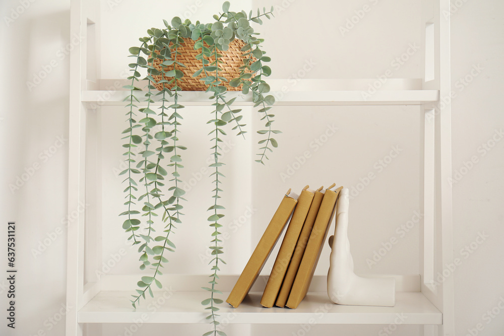 Stylish holder for books with houseplant on shelving unit