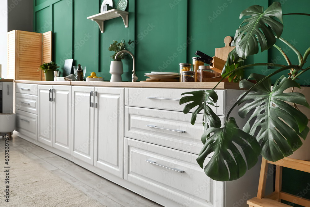 Interior of modern kitchen with houseplant and utensils