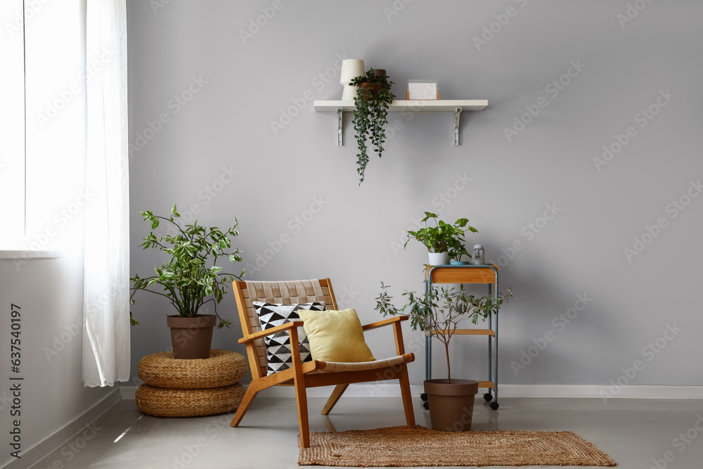 Interior of living room with wooden armchair and houseplants