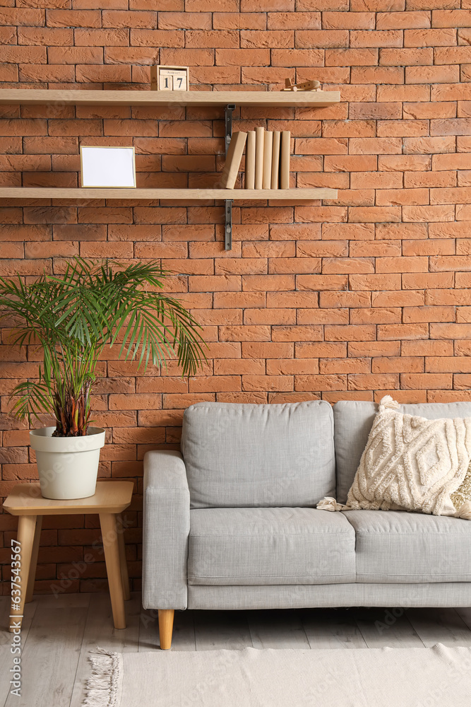 Interior of living room with bookshelves and sofa