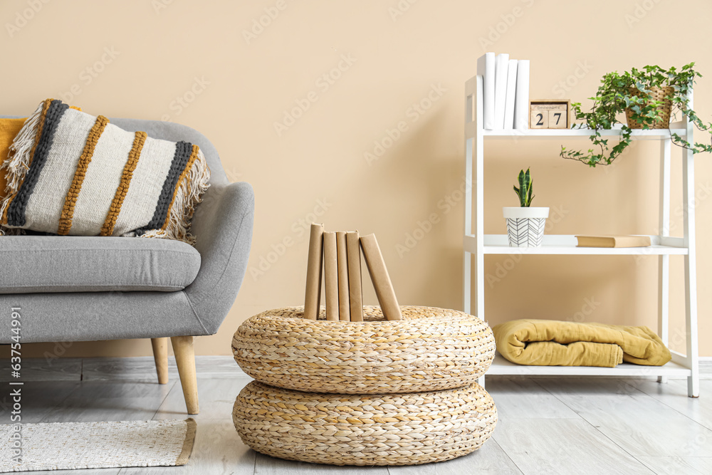 Interior of living room with sofa, books and shelving unit