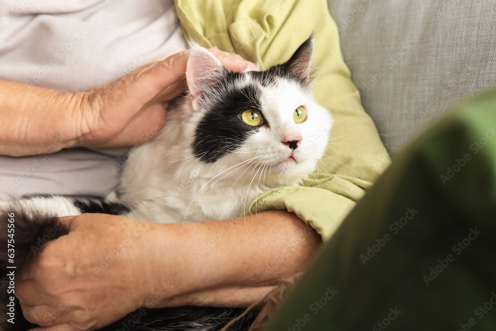 Senior woman with cute cat resting at home