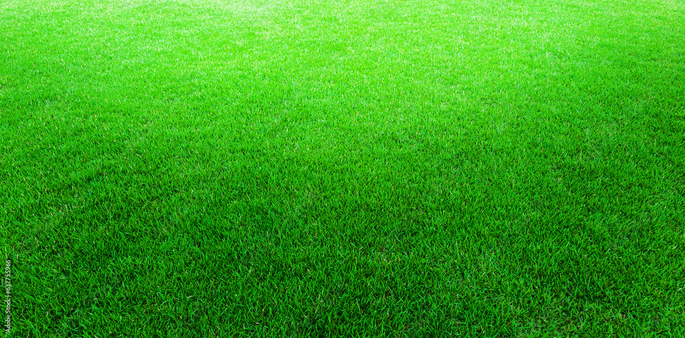 Top view green grass soccer field for background