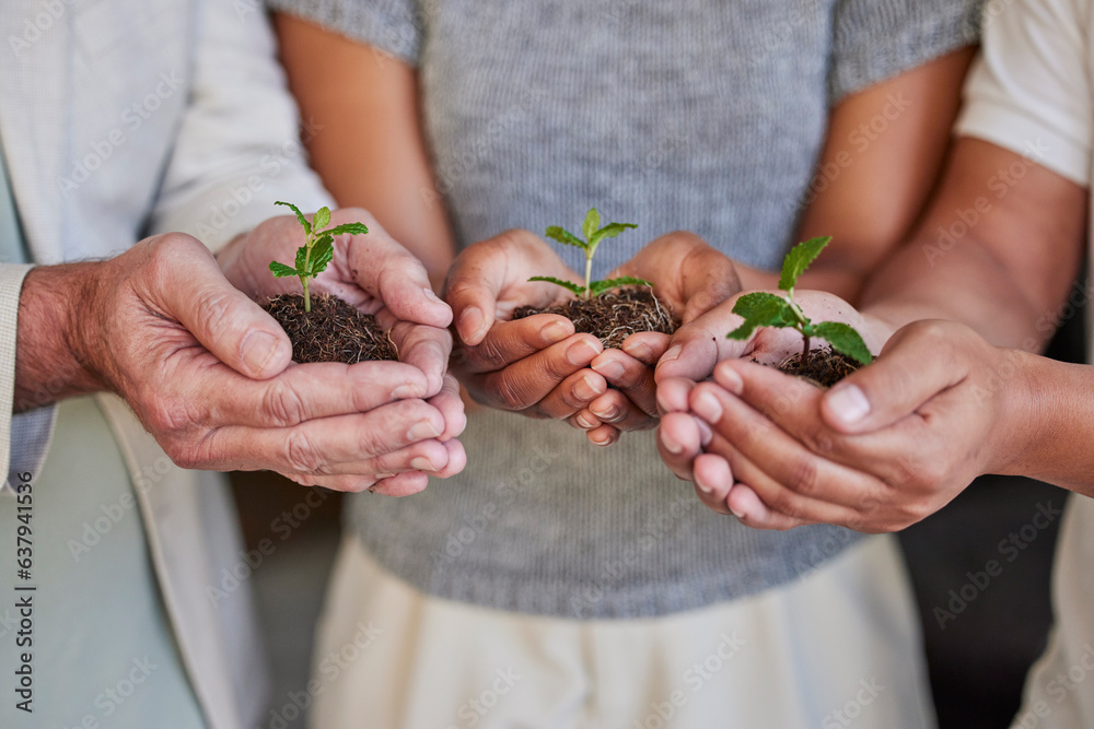 Hands, new plant and palm of business people with climate change help, eco friendly community servic