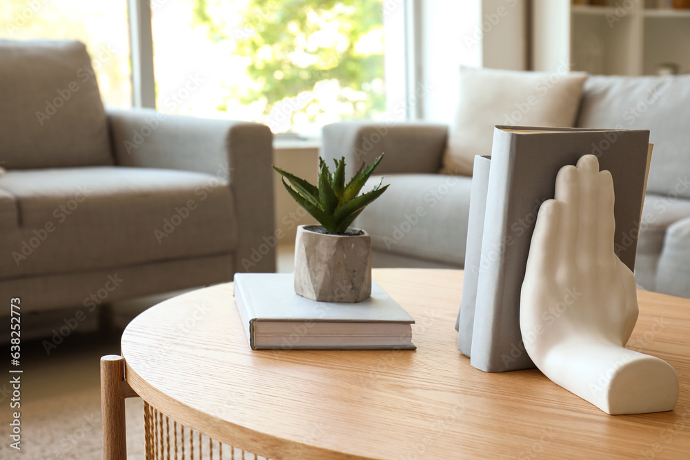 Stylish holder for books with houseplant on coffee table in living room