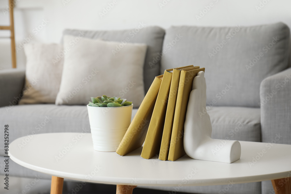 Stylish holder for books with houseplant on coffee table in living room