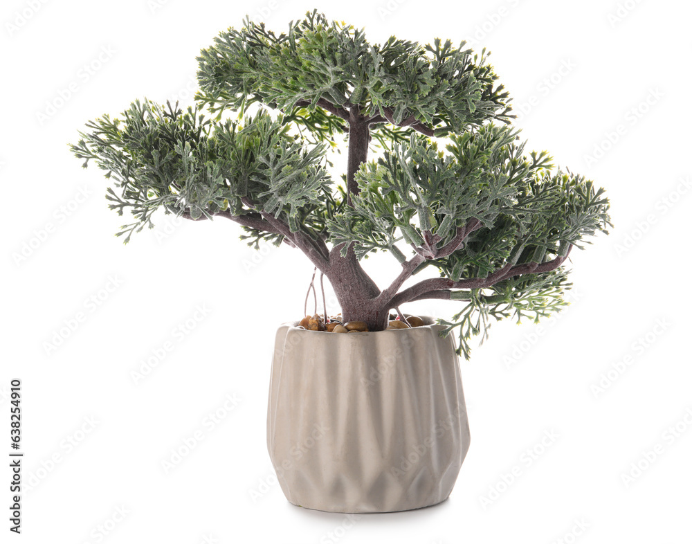 Decorative tree in flowerpot on white background