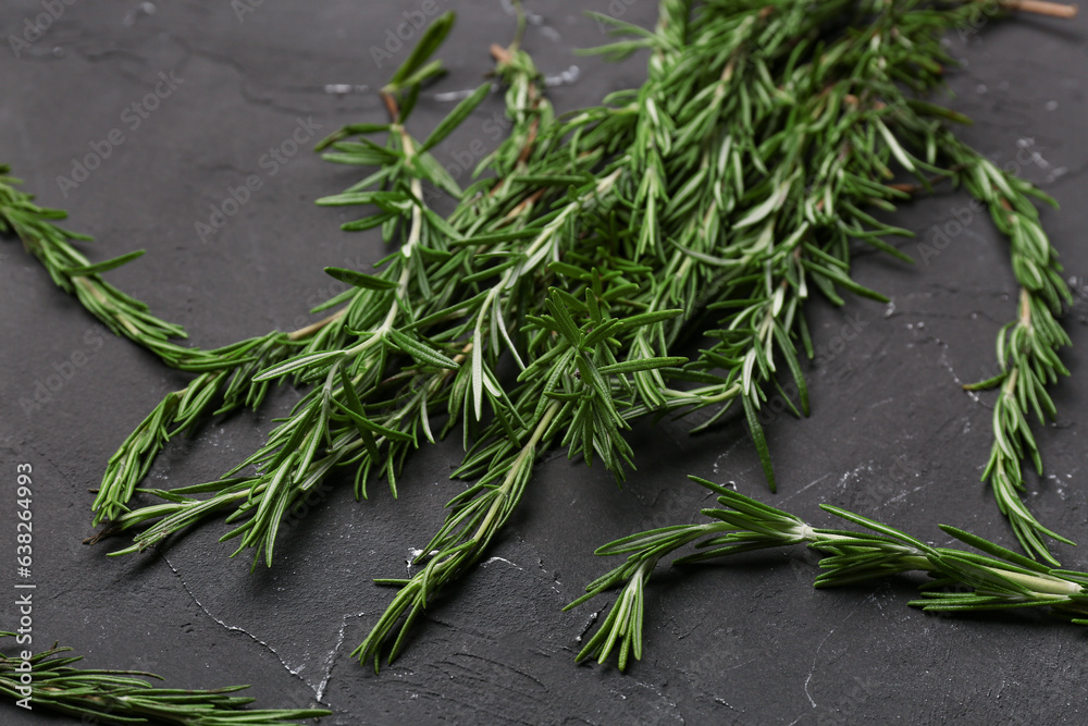 Twigs of fresh rosemary on dark background, closeup