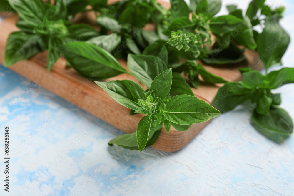 Wooden board with fresh basil on color background, closeup