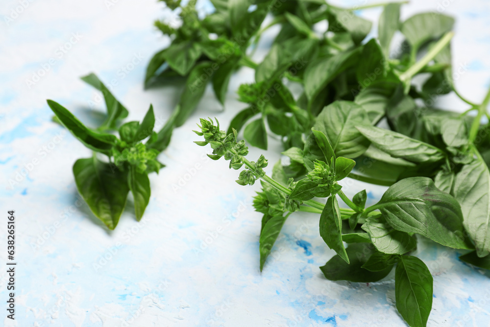 Fresh aromatic basil on color background