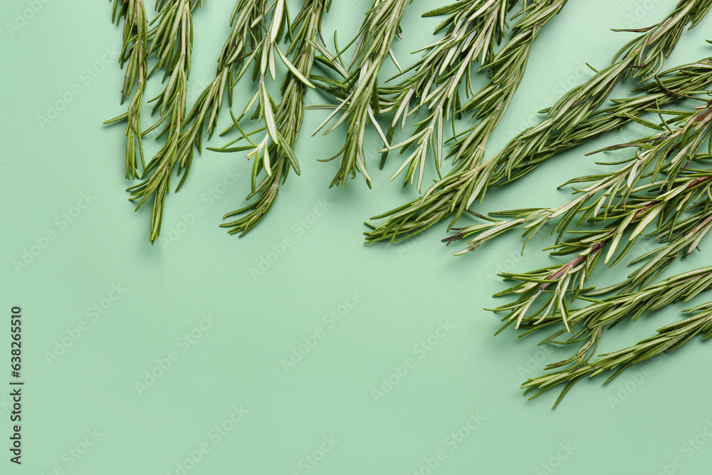 Fresh aromatic rosemary on color background