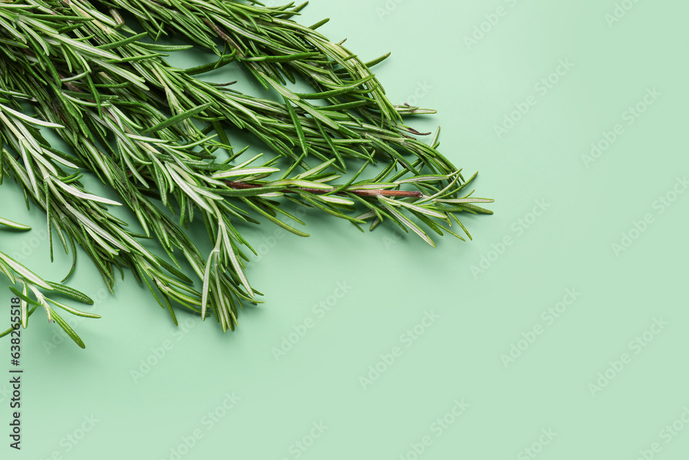 Fresh aromatic rosemary on color background