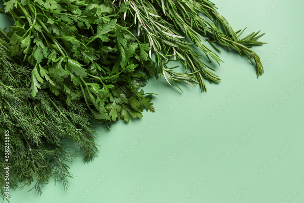 Bunches of fresh parsley, dill and rosemary on color background