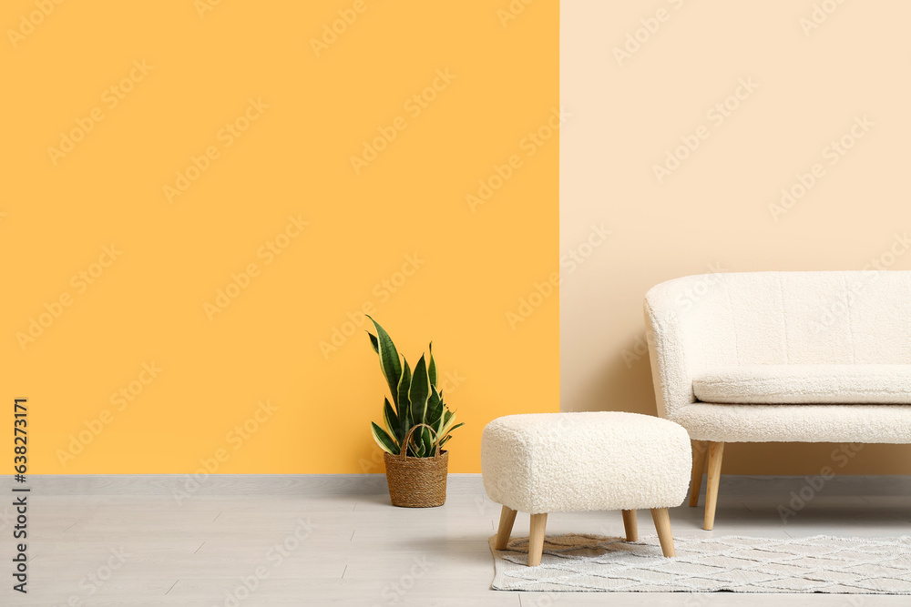 Comfortable sofa, stool and houseplant near color wall