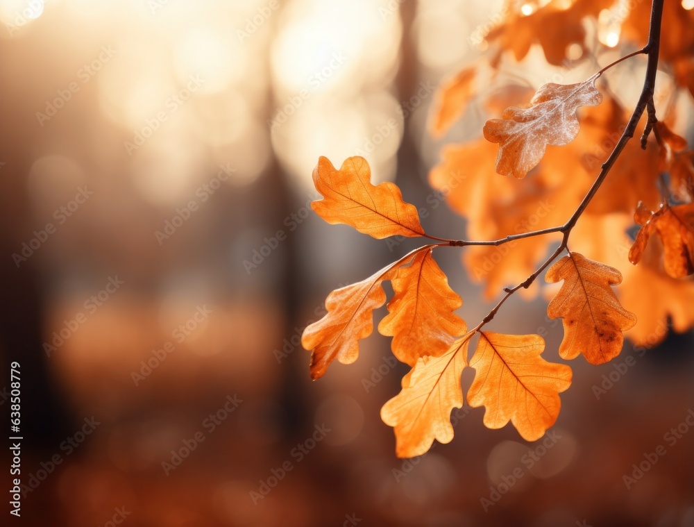 Oak leaves background framed by red light