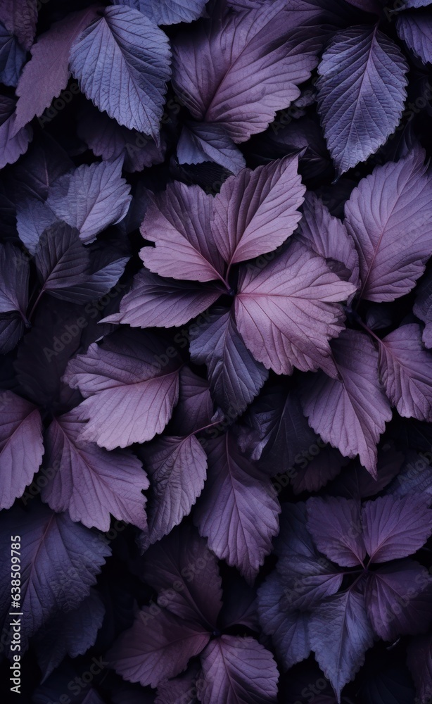 A dark background with many leaves in the foreground