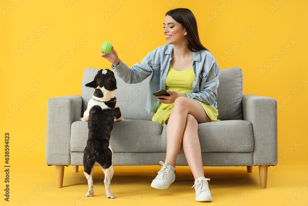 Young woman playing with her French bulldog on sofa against yellow background