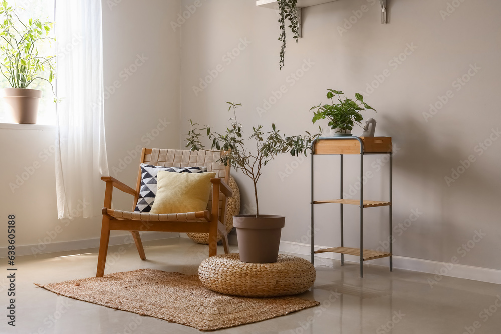 Interior of living room with wooden armchair and houseplants