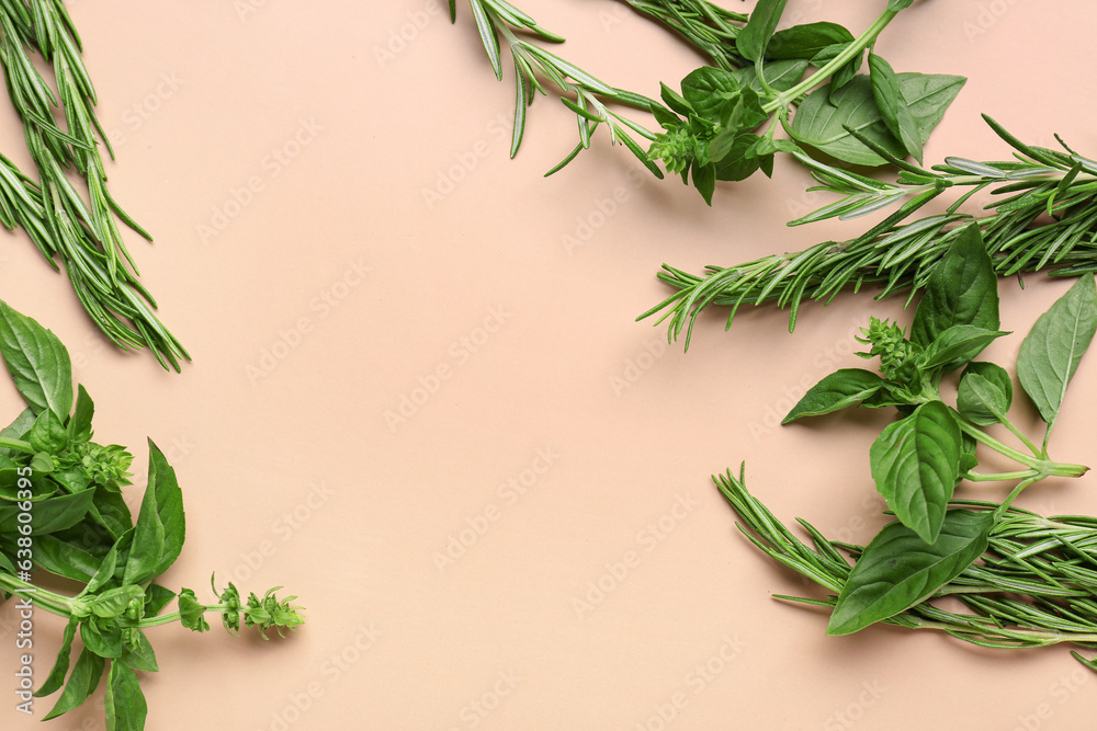 Different fresh herbs on color background