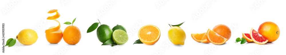 Set of many citrus fruits isolated on white