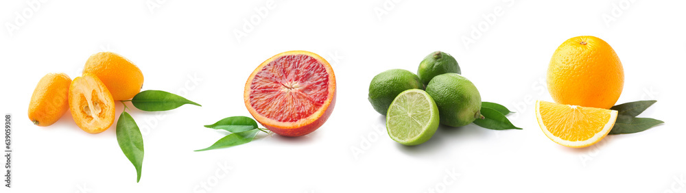 Set of different citrus fruits isolated on white