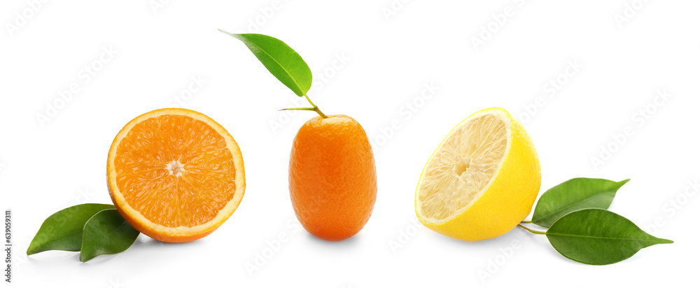 Set of citrus fruits isolated on white