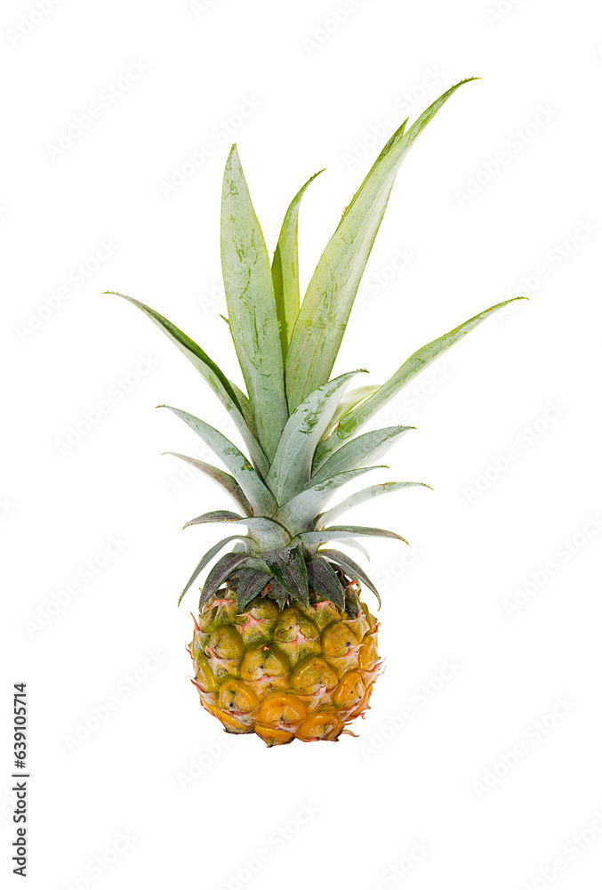 Fresh Pineapple with green leave isolated on white background shot in studio