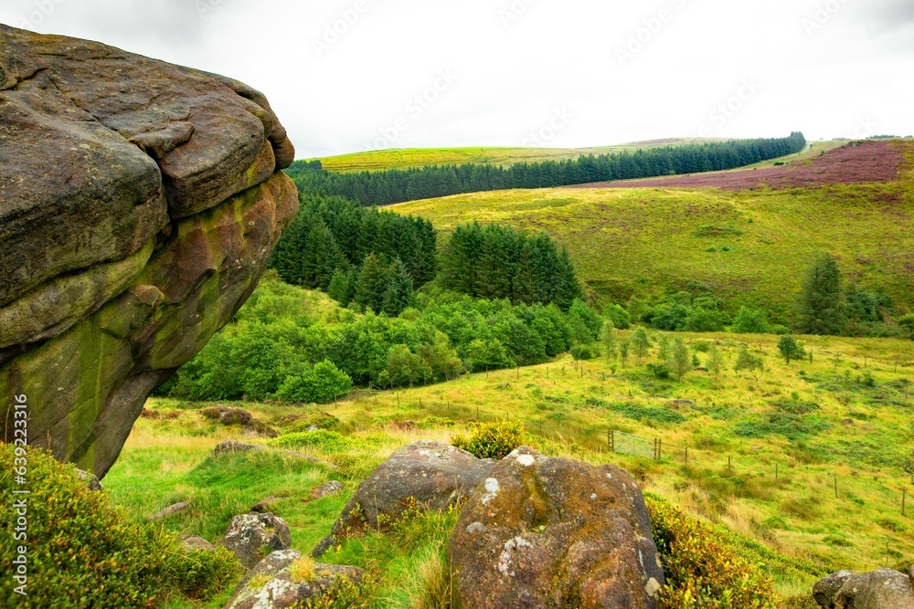 Black Brook Nature Reserve, Staffordshire, England.