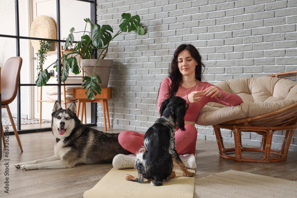 Sporty young woman with her dogs training at home