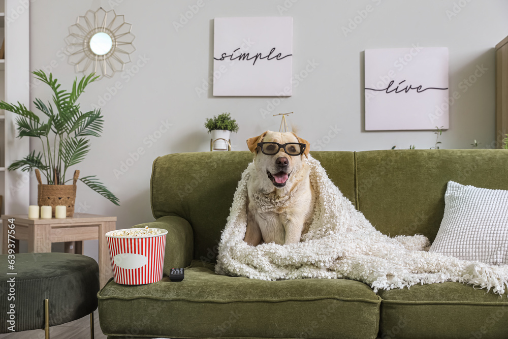 Cute Labrador dog in 3D cinema glasses with popcorn bucket and TV remote sitting on sofa in living r