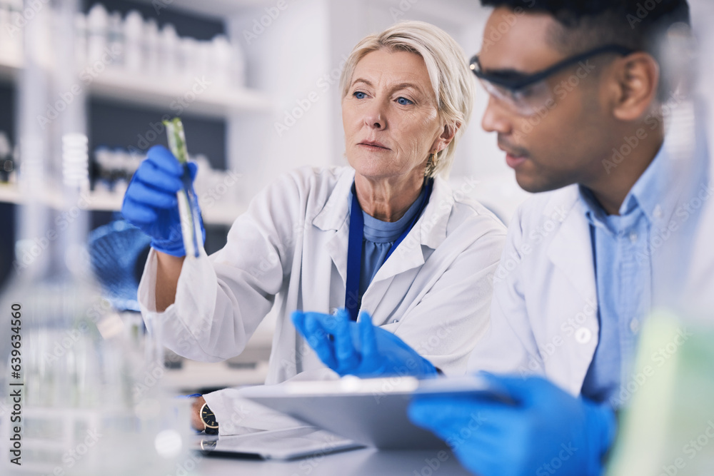 Science, man and woman with test tube, plants in laboratory and research on agro growth. Biotechnolo