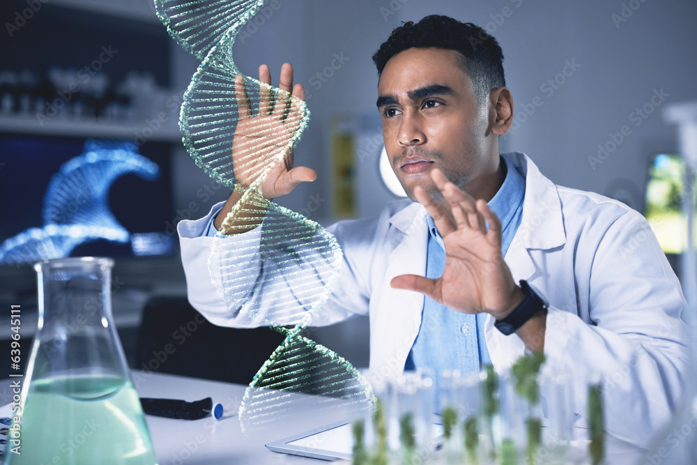 Scientist man, dna hologram and laboratory with thinking, plant study and data for health, medical r