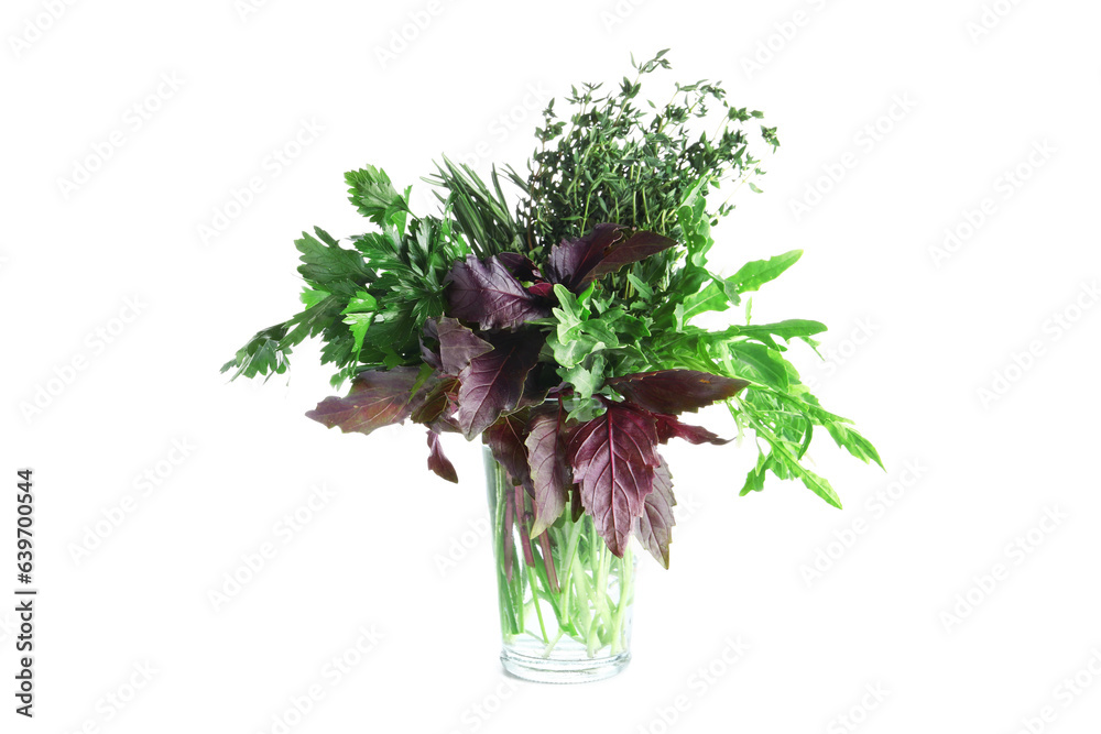 Glass with fresh herbs isolated on white background