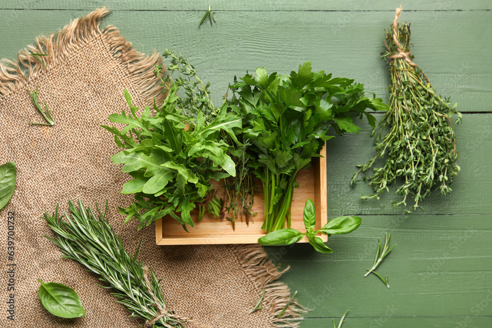 Composition with fresh aromatic herbs on color wooden background