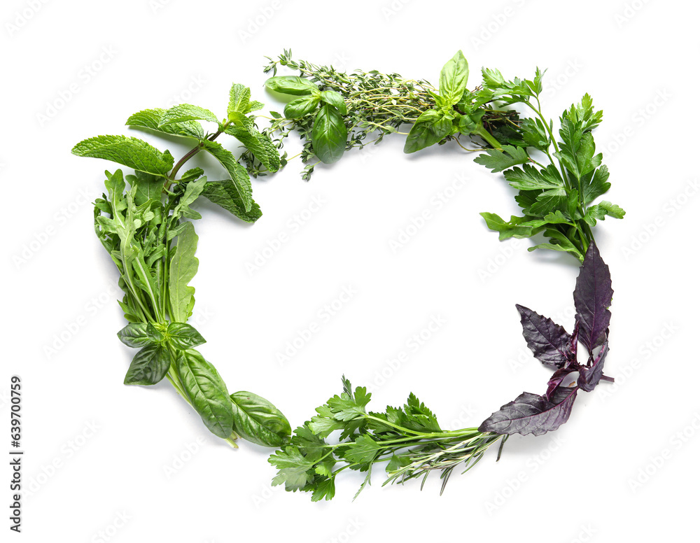 Frame made of different herbs on white background