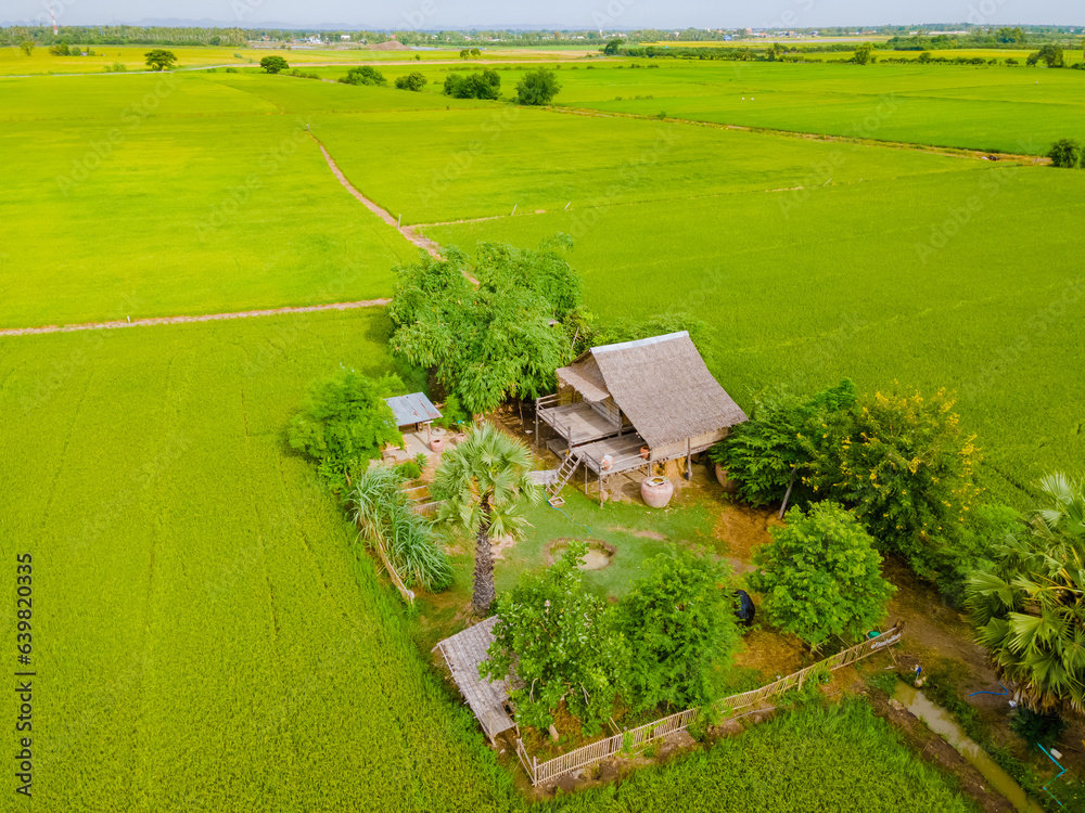 Bamboo hut homestay farm with Green rice paddy fields in Central Thailand Suphanburi region, drone a