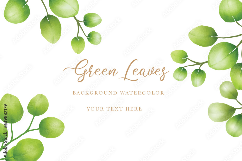 watercolor green leaves eucalyptus background  