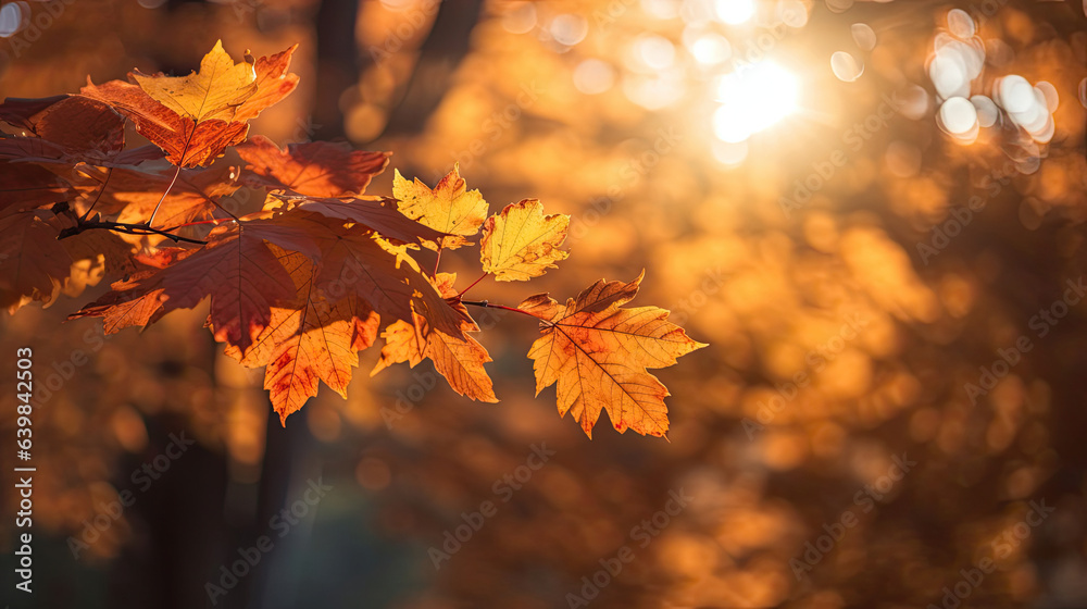 Autumn leaves on the sun and blurred trees for fall background. Generative Ai