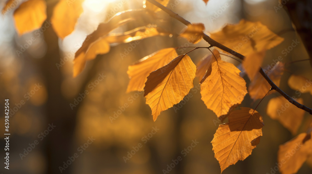 Autumn leaves on the sun and blurred trees for fall background. Generative Ai