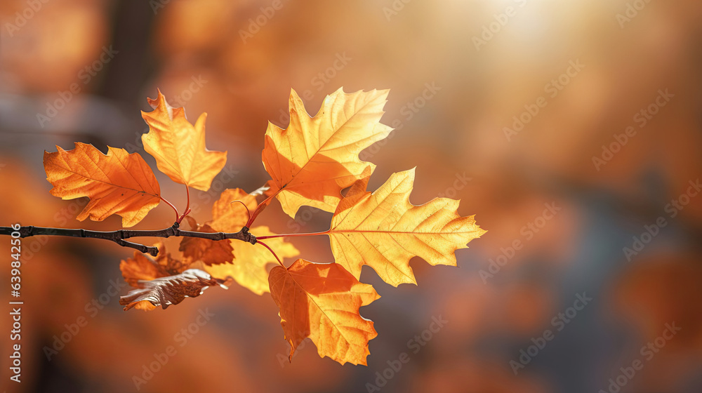 Autumn leaves on the sun and blurred trees for fall background. Generative Ai