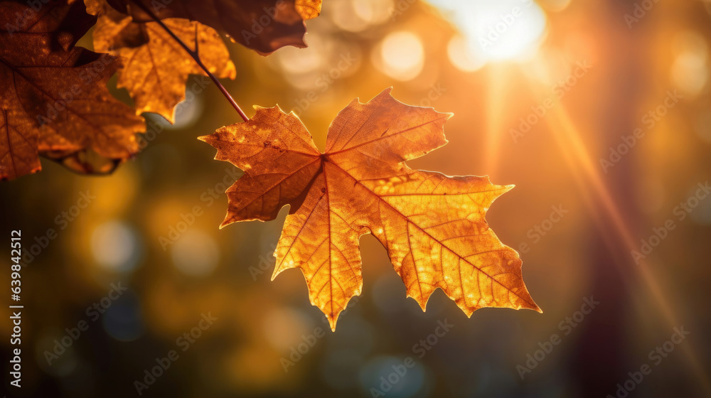 Autumn leaves on the sun and blurred trees for fall background. Generative Ai